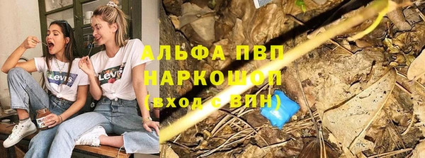 спиды Няндома