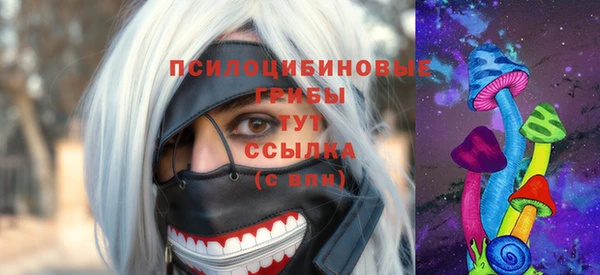 спиды Няндома