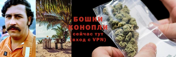 ГАЛЛЮЦИНОГЕННЫЕ ГРИБЫ Нязепетровск