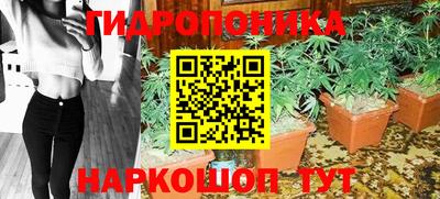 гашик Волжский