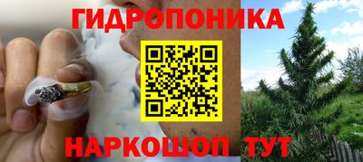 меф Краснознаменск