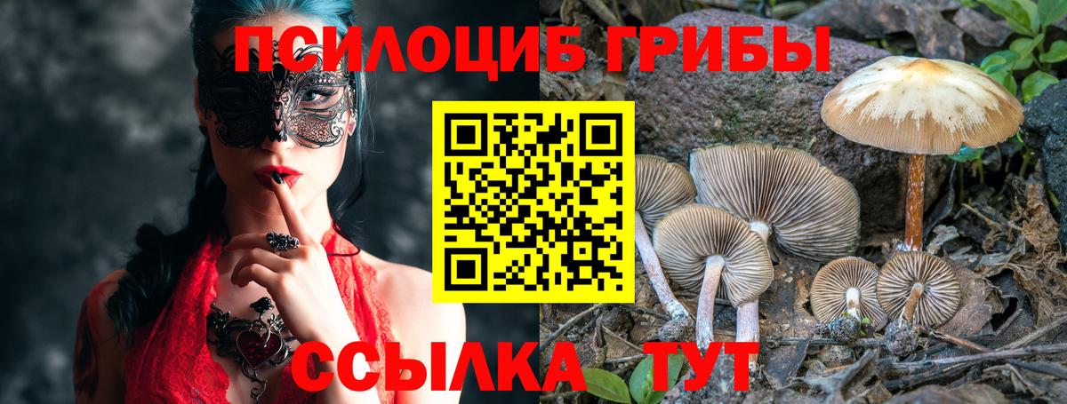 LSD-25  ТГК  МАРИХУАНА  Кокаин  Сафоново  Меф   ГАШ  Мефедрон  ГАШ  МЕТАМФЕТАМИН  Вход с VPN 